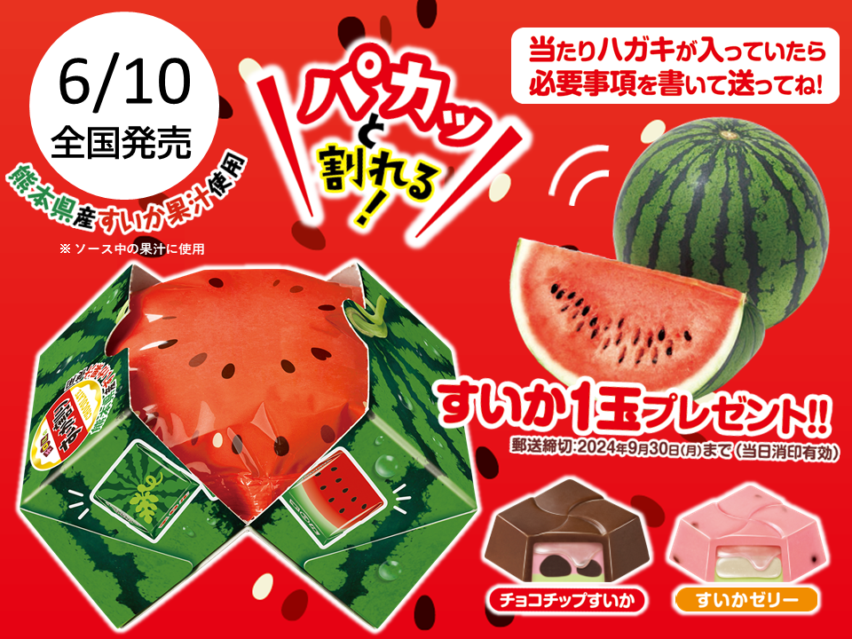 100名様にすいか1玉が当たるキャンペーン付き♪夏の風物詩を手軽に体験