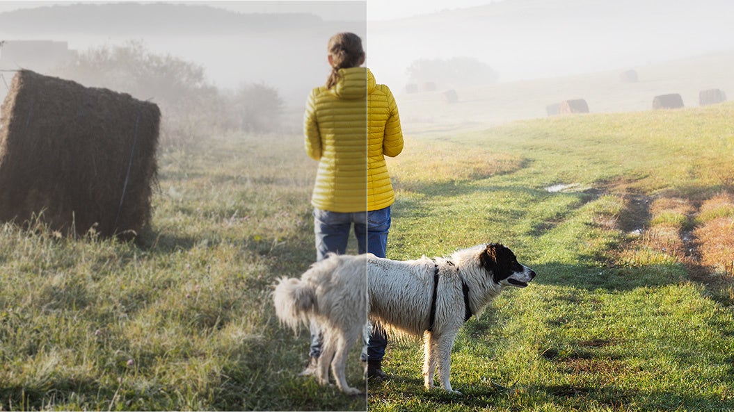 新機能 AfterShot Lab