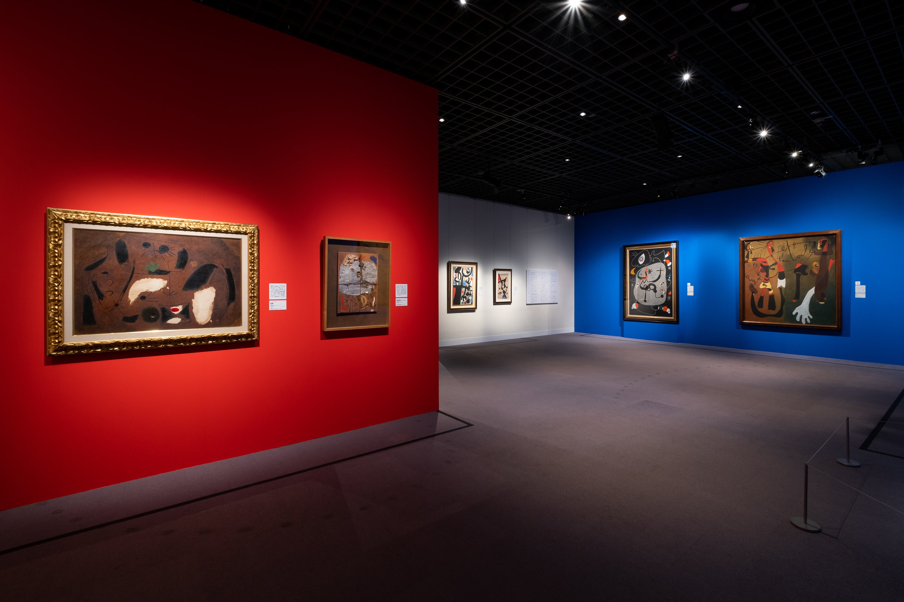 photo：Yuya Furukawa