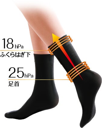 スリムウォーク 美脚メイクソックス クルー丈 ブラック M-Lサイズ×10個セット 5個セット スリムウォーク 美脚メイクソックス クルー丈 ブラック