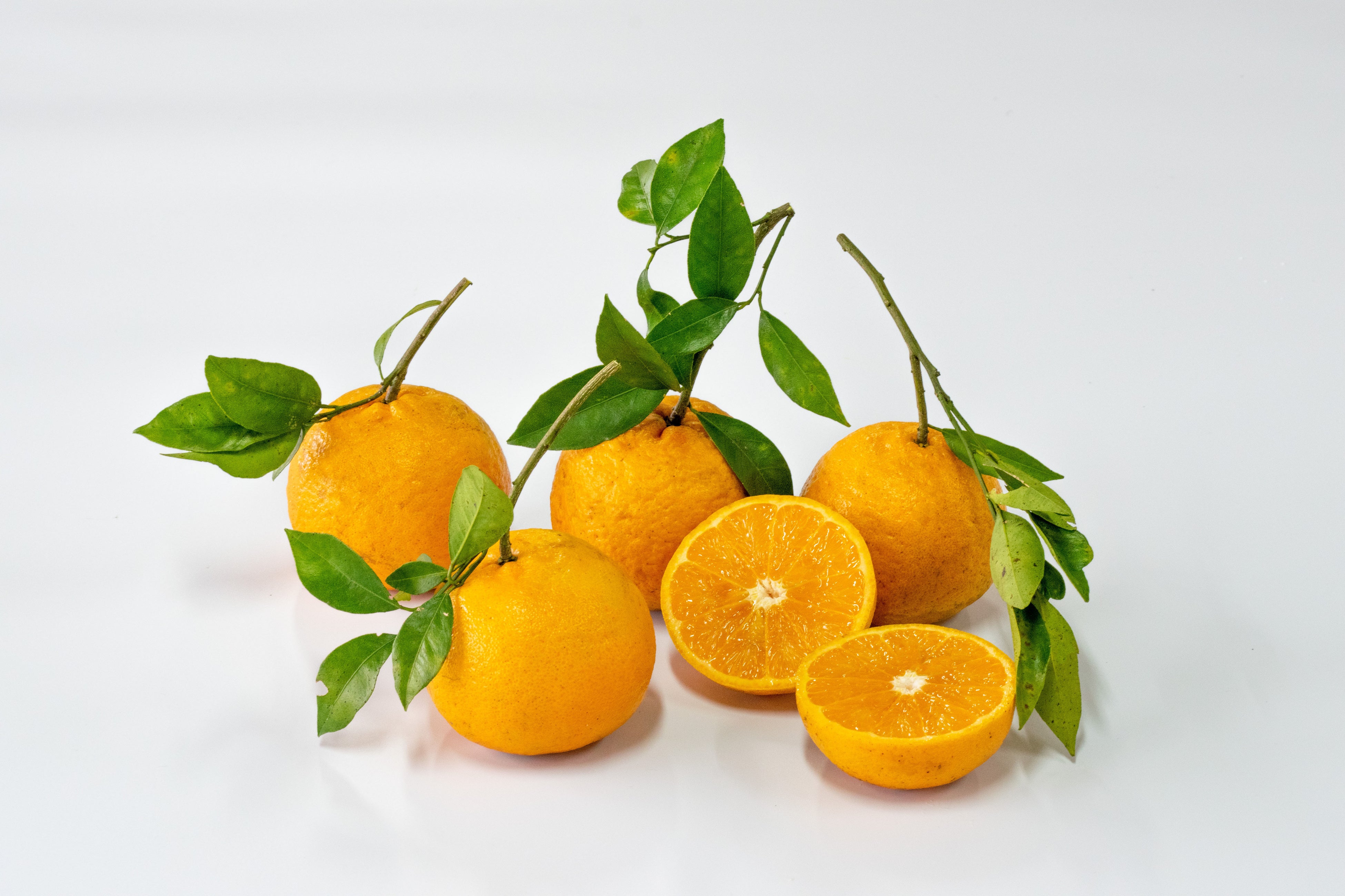 もぎたての沖縄タンカンを使用