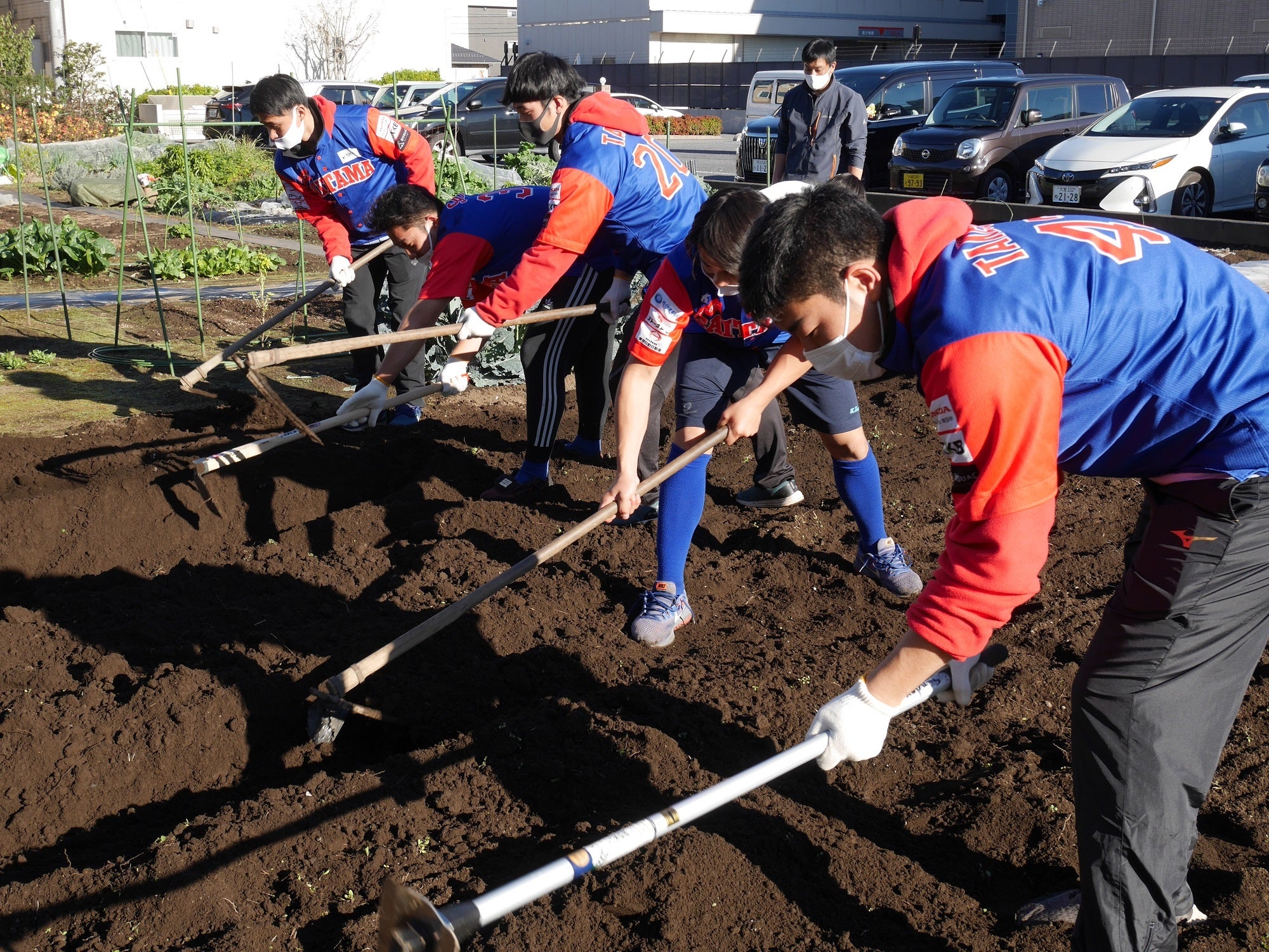 協業による農業開始_畑づくり