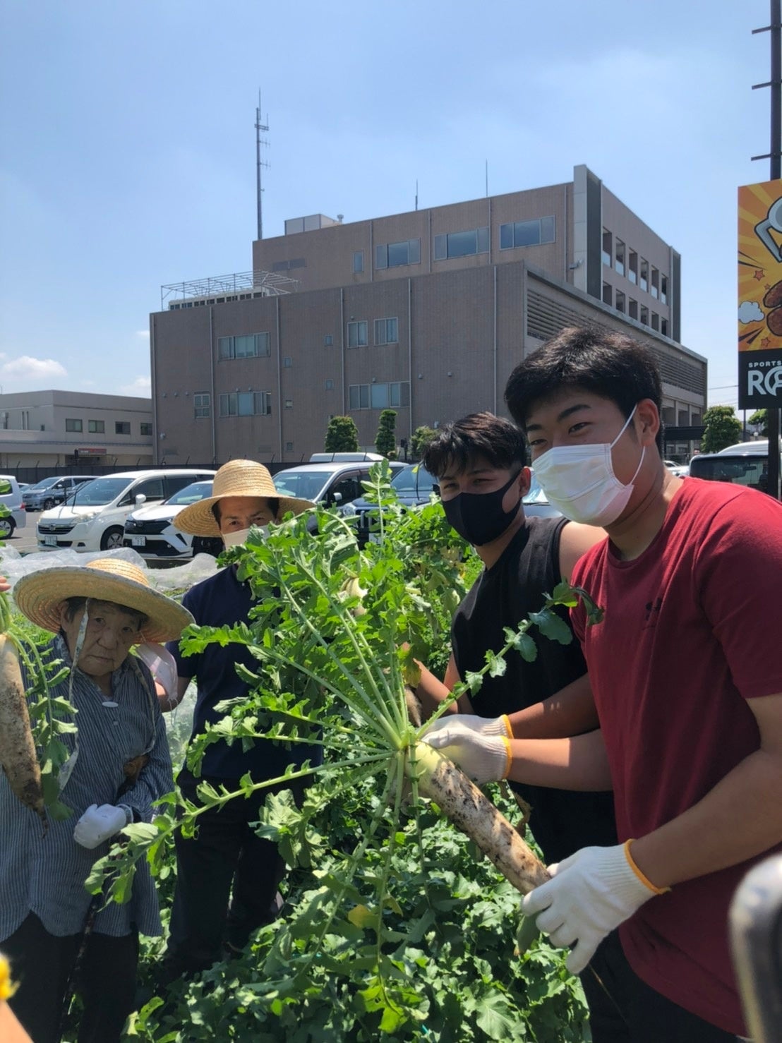 選手と「そよ風」利用のお客様の直接的な初交流となった大根の収穫