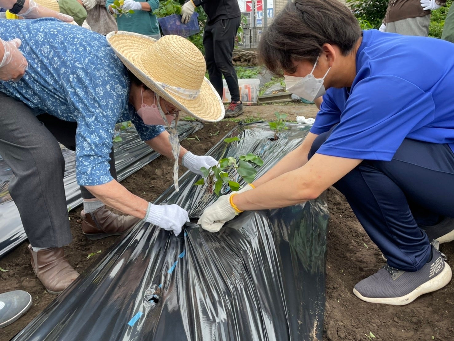 苗植えで「そよ風」のお客様を優しくサポートする「埼玉武蔵ヒートベアーズ」の選手