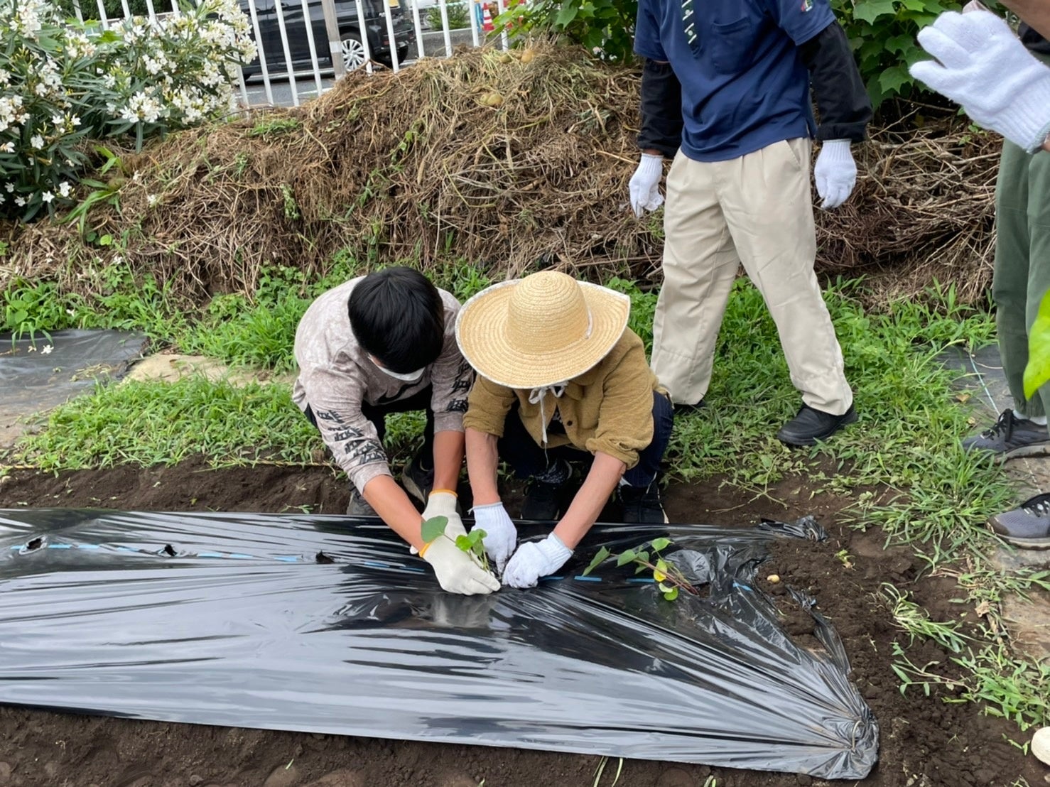 苗植えで「そよ風」のお客様を優しくサポートする「埼玉武蔵ヒートベアーズ」の選手