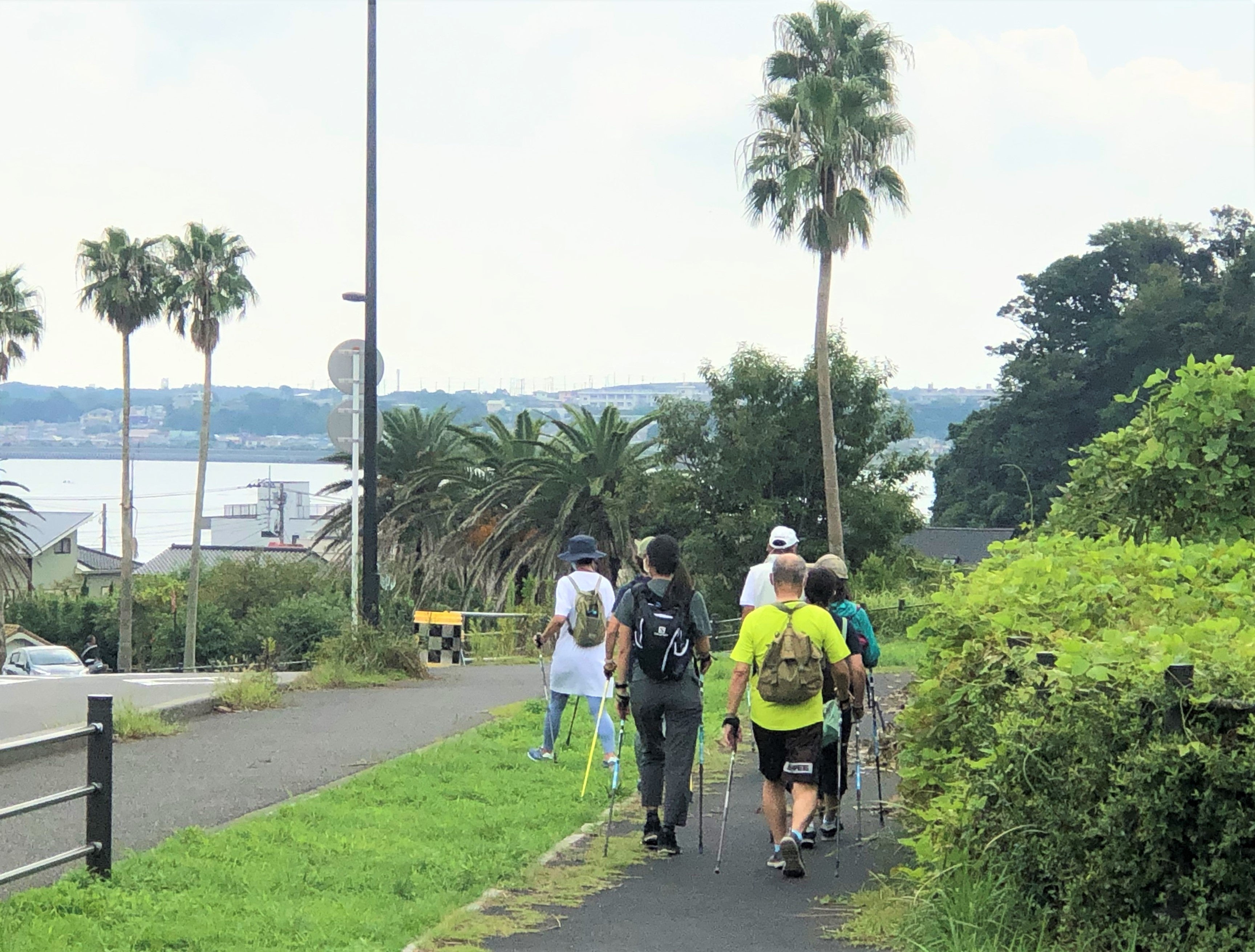 ノルディックウォーキングの様子（一例）
