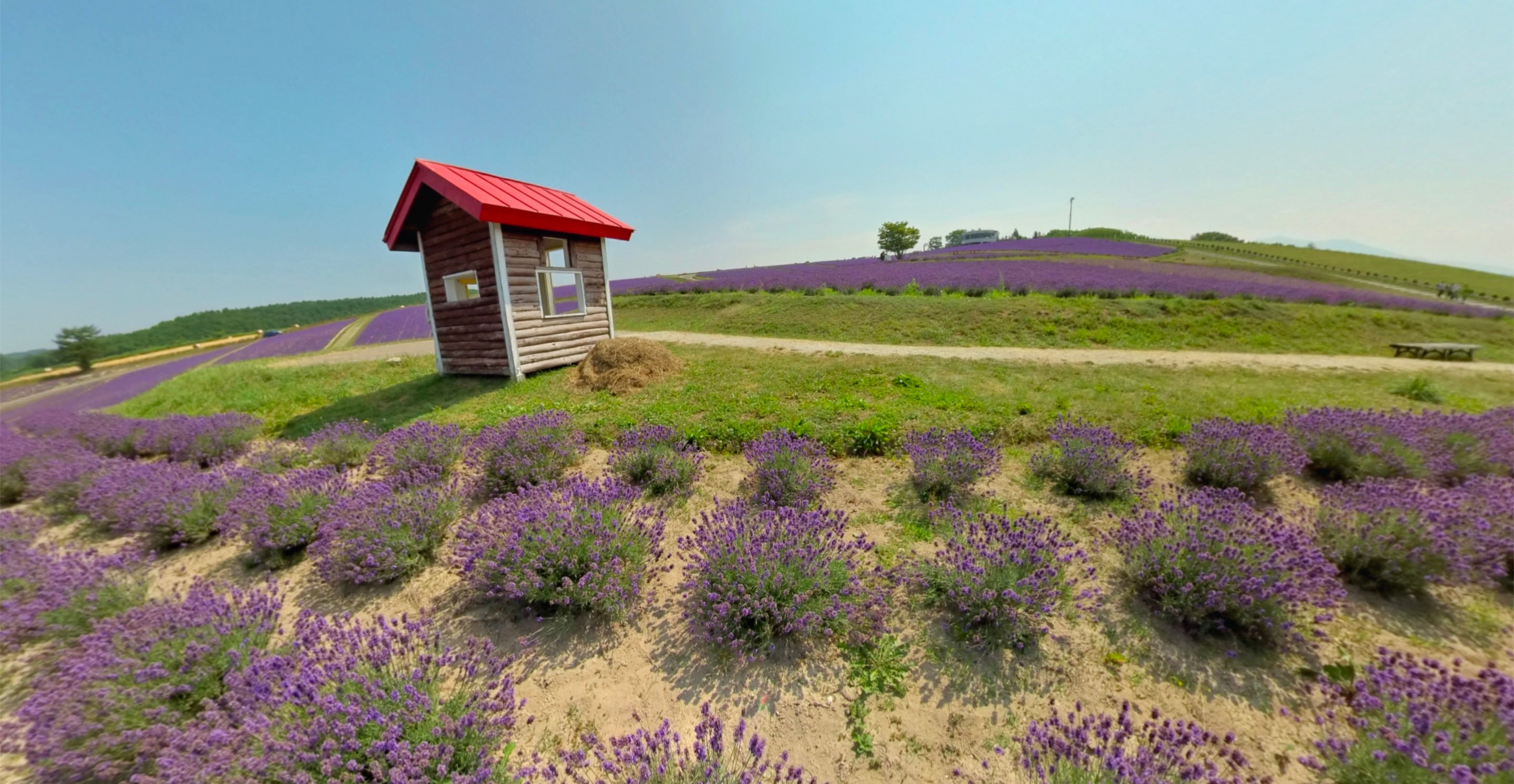 ゴーグル内のディスプレイで見えている旅行映像の一例（2）