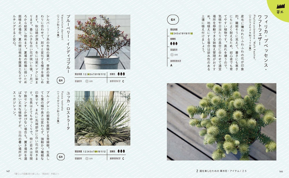 自分にあった庭の楽しみを見つけられる本 暮らしの図鑑 庭の楽しみ 小さな庭 ベランダで自然を感じる工夫 草木花 アイテム125 基礎知識 刊行 翔泳社のプレスリリース 自分にあった庭の楽しみを見つけられる本 暮らしの図鑑 庭の楽しみ 小さな庭 ベランダで自然を感じる工夫 草木花 アイテム125 基礎知識 刊行 翔泳社のプレスリリース