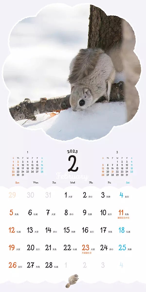 まるっともふっと かわいいエゾモモンガ カレンダー 2023_2月