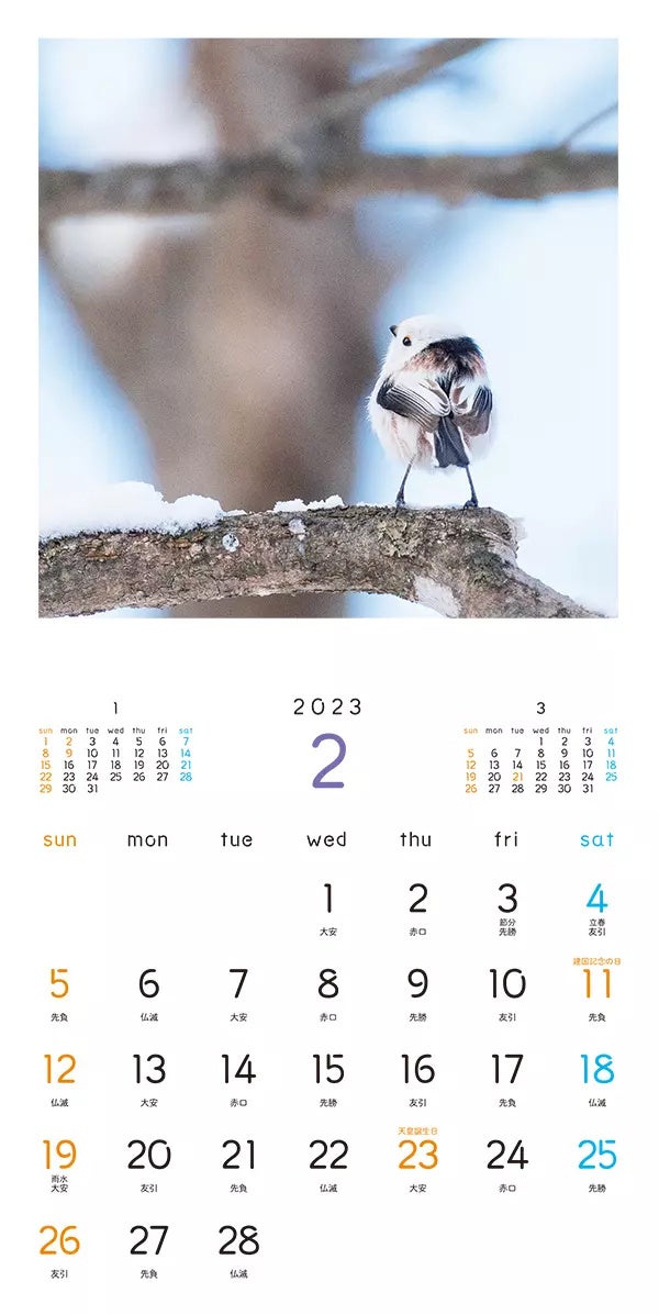 もふもふふわふわシマエナガ カレンダー 2023_2月