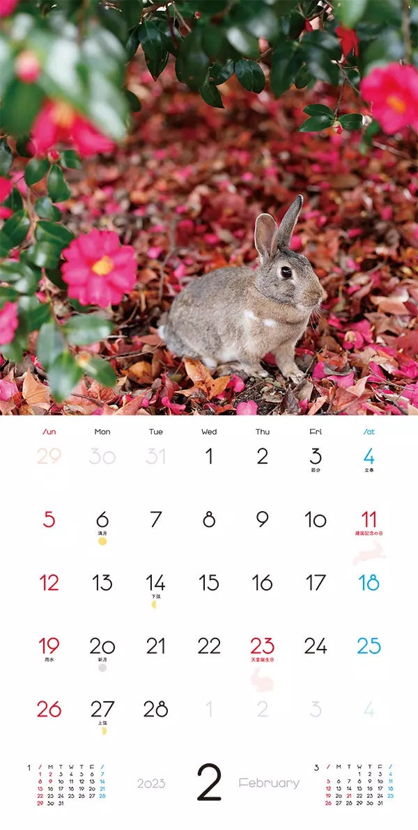 もふもふうさぎ カレンダー 2023_2月