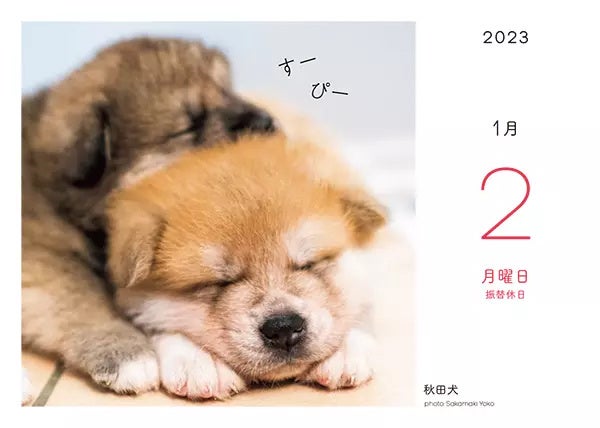 ふわもこ365日 いやしの動物日めくりカレンダー 2023_1月2日