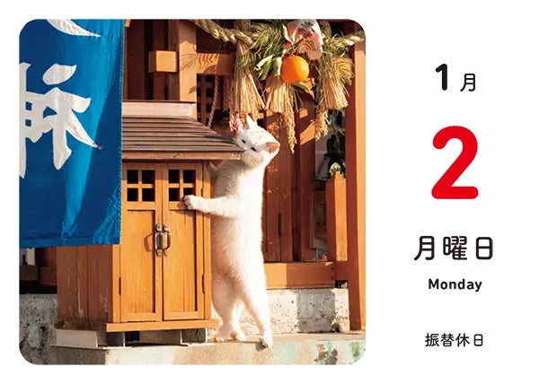 ほっこりゆったり毎日島猫 日めくりカレンダー 2023_1月2日