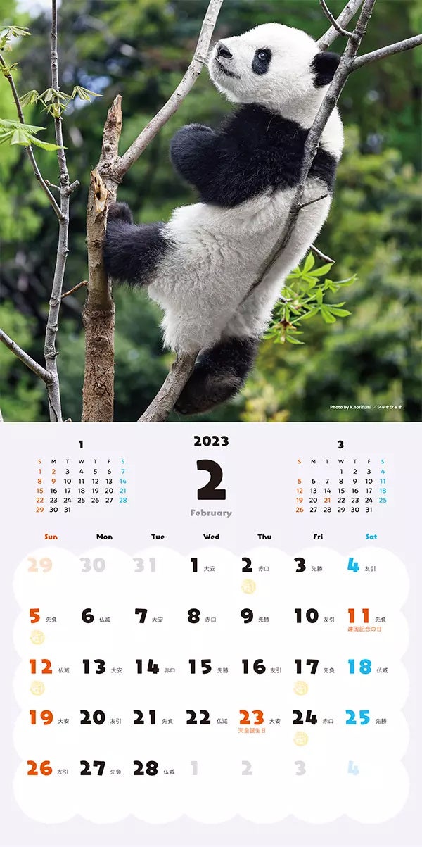 ハッピー＆ラッキー パンダカレンダー 2023_2月