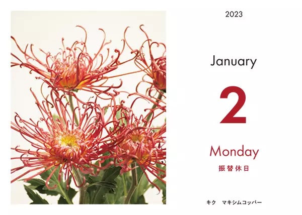 365日の植物図譜 日めくりカレンダー 2023_1月2日