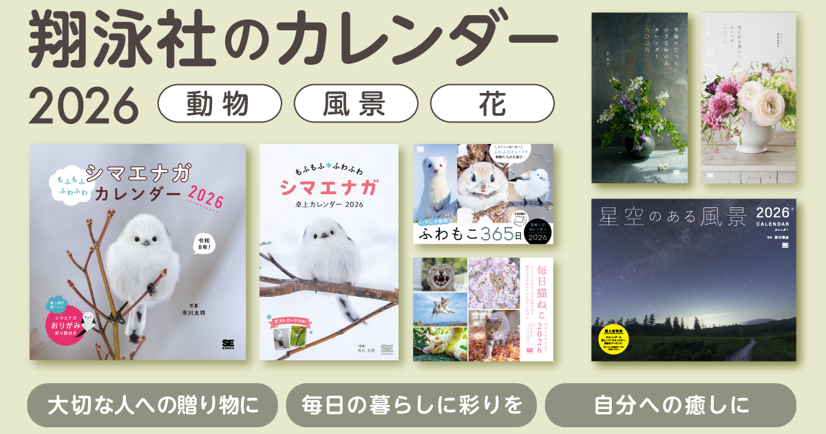 じゃれねこ『12月イベ①』シマエナガ じゃれねこ『12月イベ⑦』シマエナガ