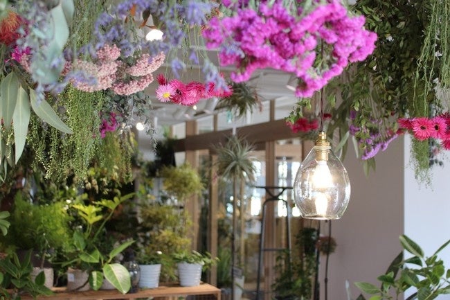 hale-hana plants＋（2階店舗スペース）