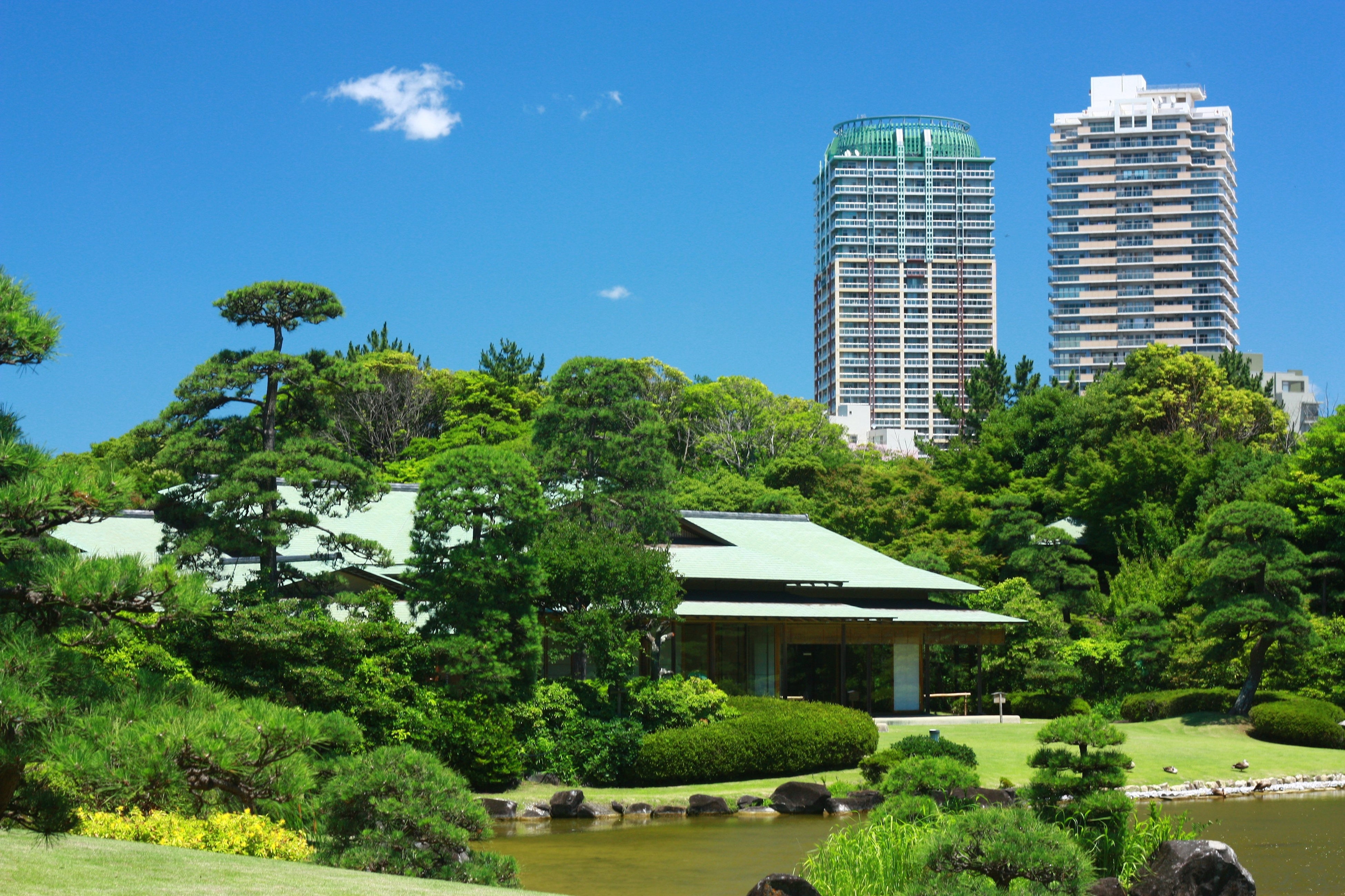 茶室『松籟亭（しょうらいてい）』