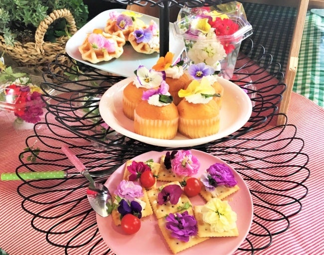 エディブルフラワーを使ったスイーツなど(利用イメージ)