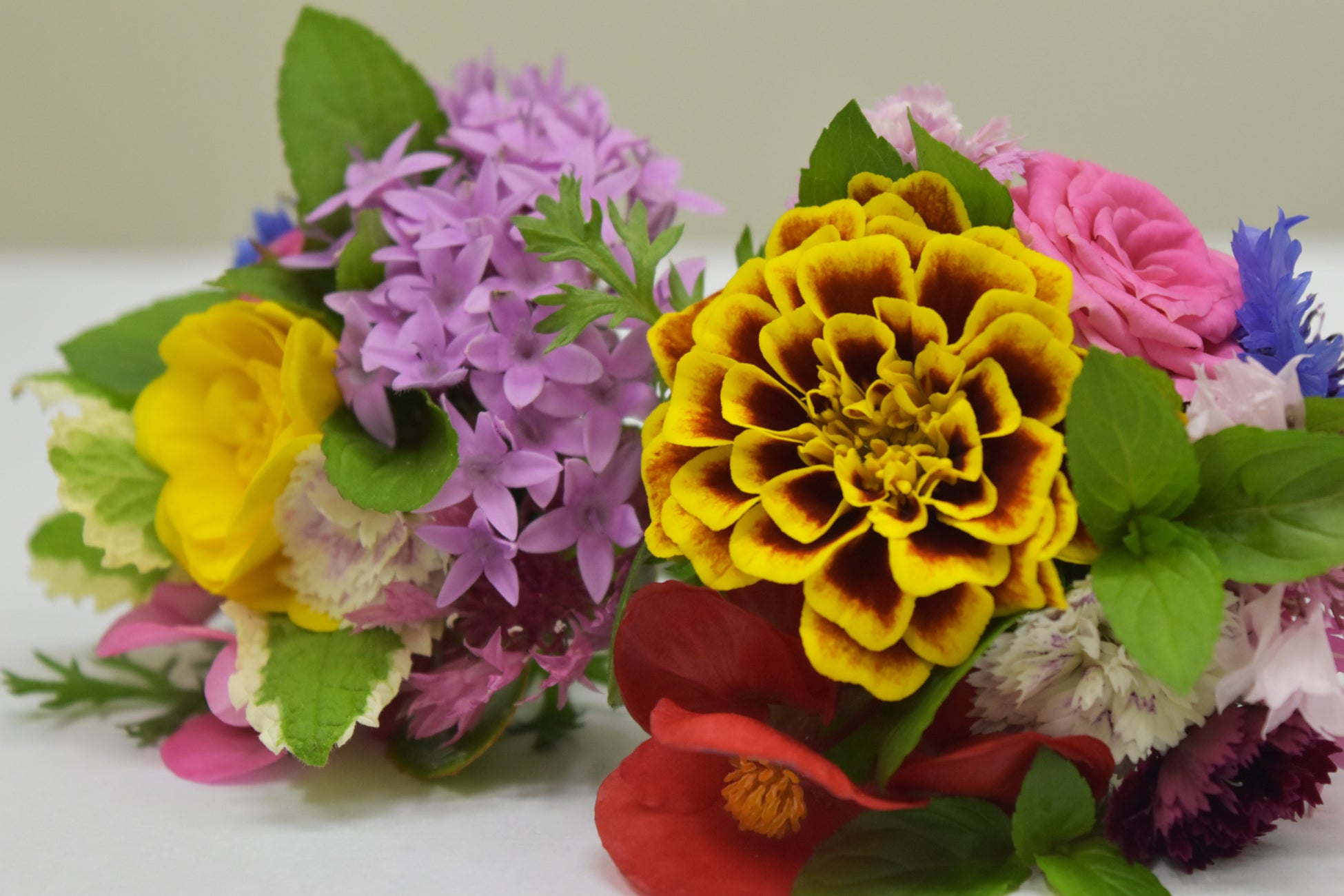 横山園芸のエディブルフラワー