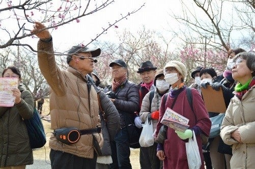 日本梅の会会長大坪孝之先生による「梅園ガイドツアー」