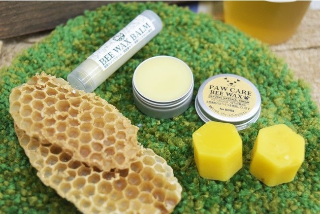 天然の「みつろう」を使ったワークショップ