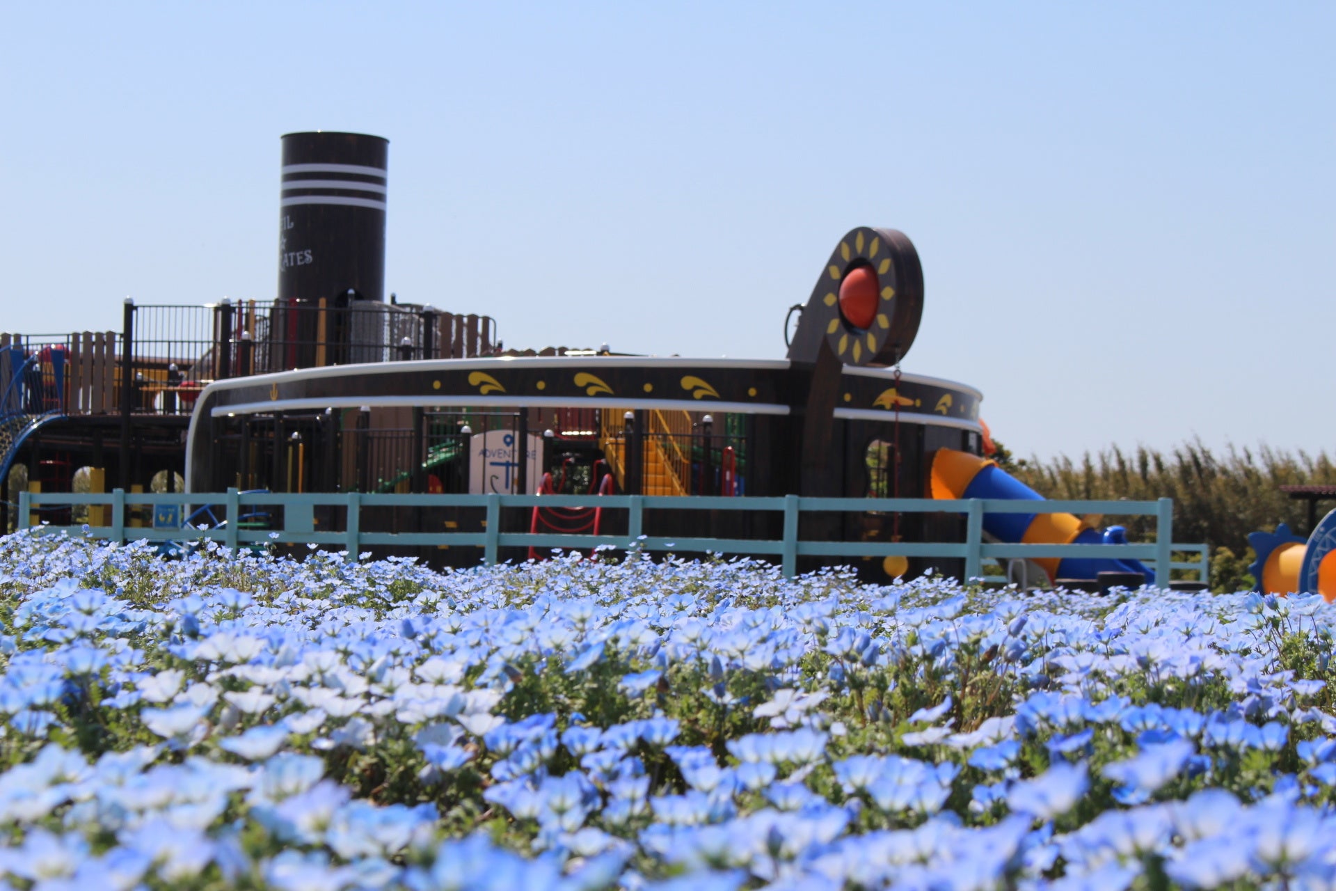 空 海 ネモフィラのブルーで染まる 約55万本のネモフィラ が見頃を迎えます 横須賀市長井海の手公園 ソレイユの丘 西武造園株式会社のプレスリリース 空 海 ネモフィラのブルーで染まる 約55万本のネモフィラ が見頃を迎えます 横須賀市長井海の手公園 ソレイユの丘 西武造園株式会社のプレスリリース