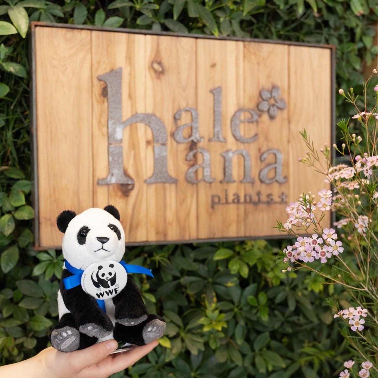 「♯旅する60パンダ」への参加の様子（2021年）