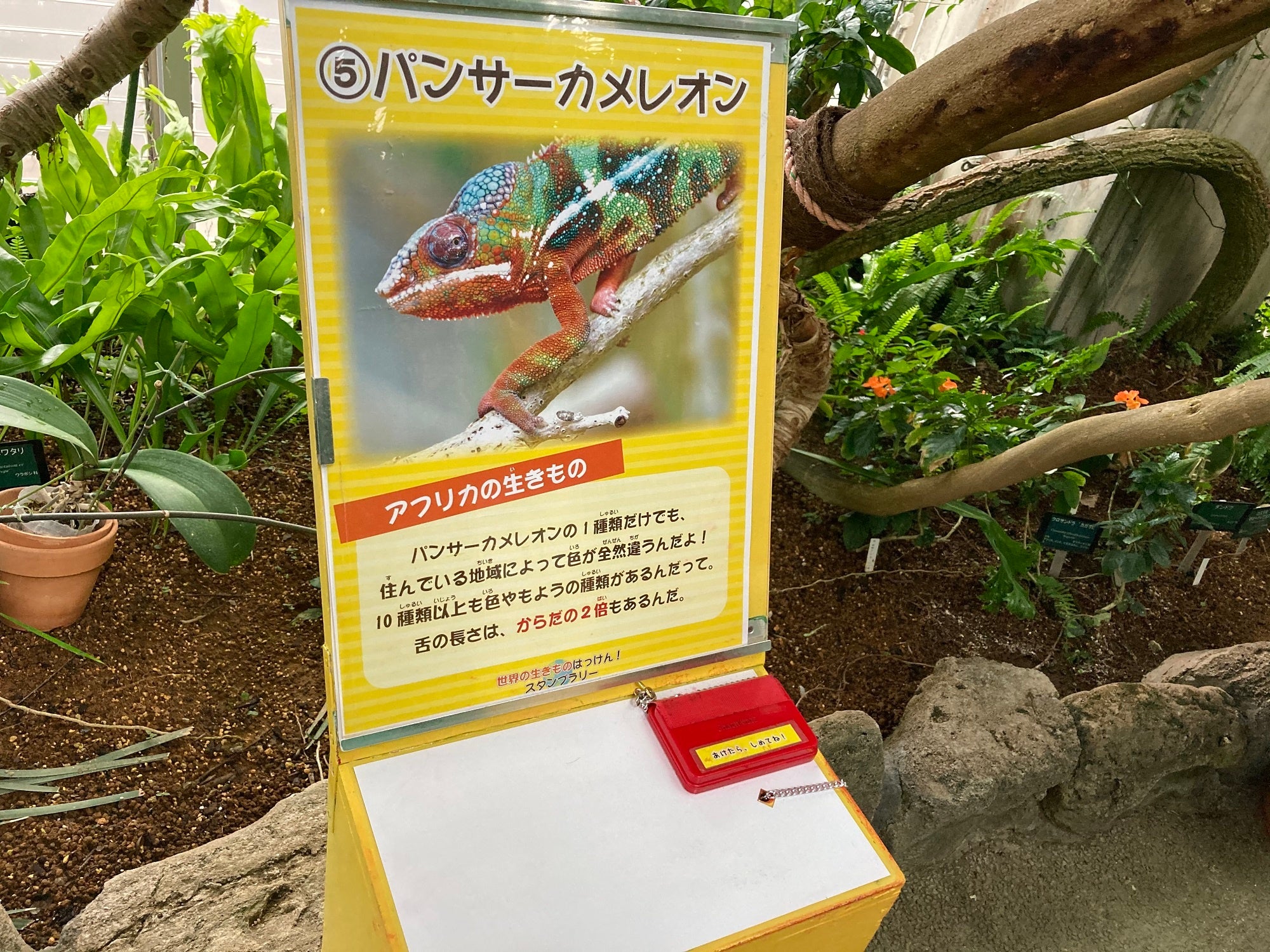 世界の生きものはっけん！スタンプラリー