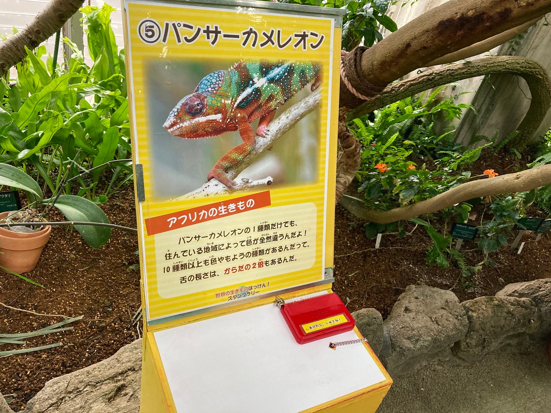 世界の生きものはっけん!スタンプラリー