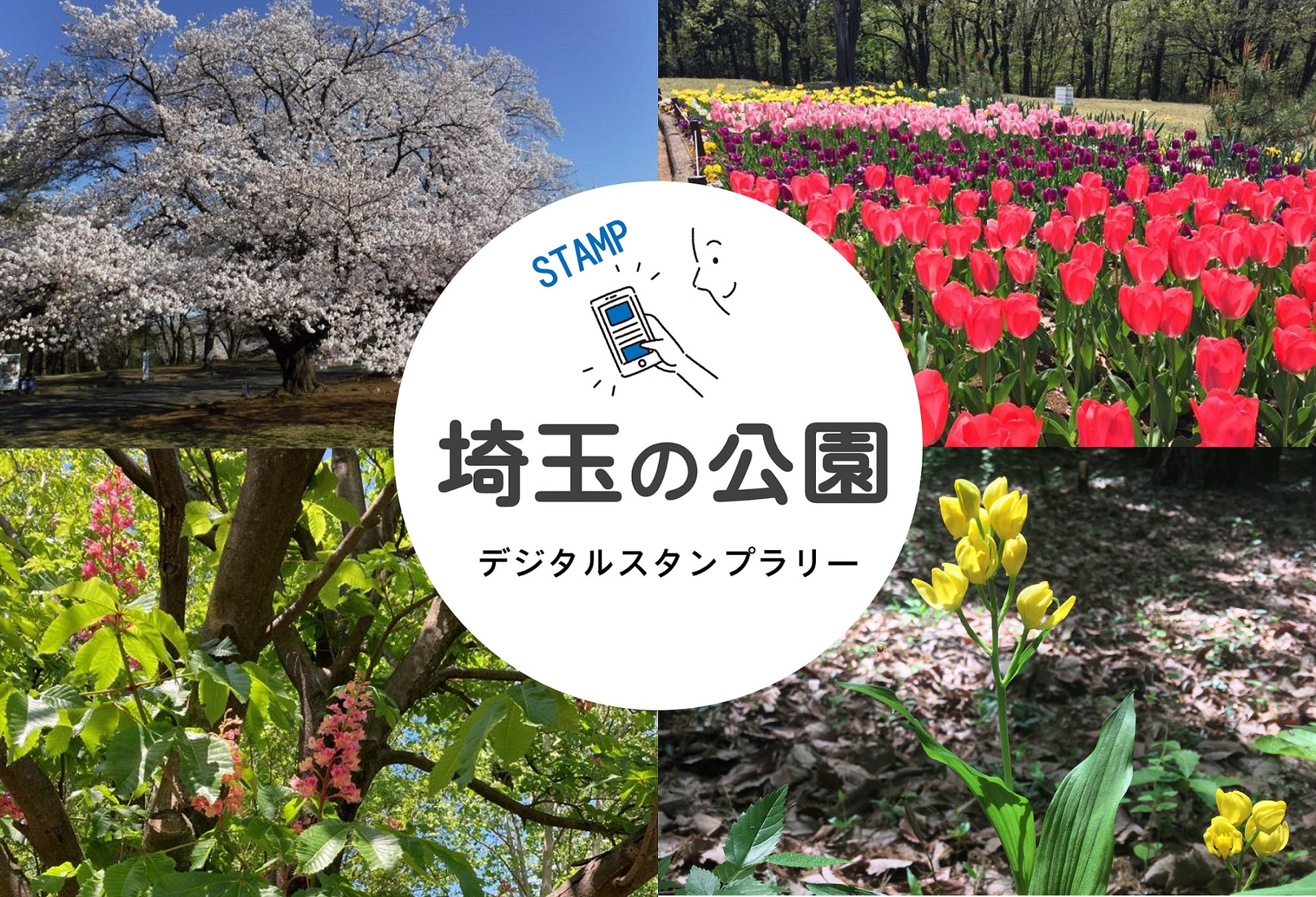 参加無料 埼玉の公園を巡って 春 の魅力を発見する 埼玉彩発見 公園 の四季を巡るスタンプラリー 開催 西武緑化管理株式会社 西武造園株式会社のプレスリリース 参加無料 埼玉の公園を巡って 春 の魅力を発見する 埼玉彩発見 公園 の四季を巡るスタンプラリー 開催 西武緑化管理株式会社 西武造園株式会社のプレスリリース