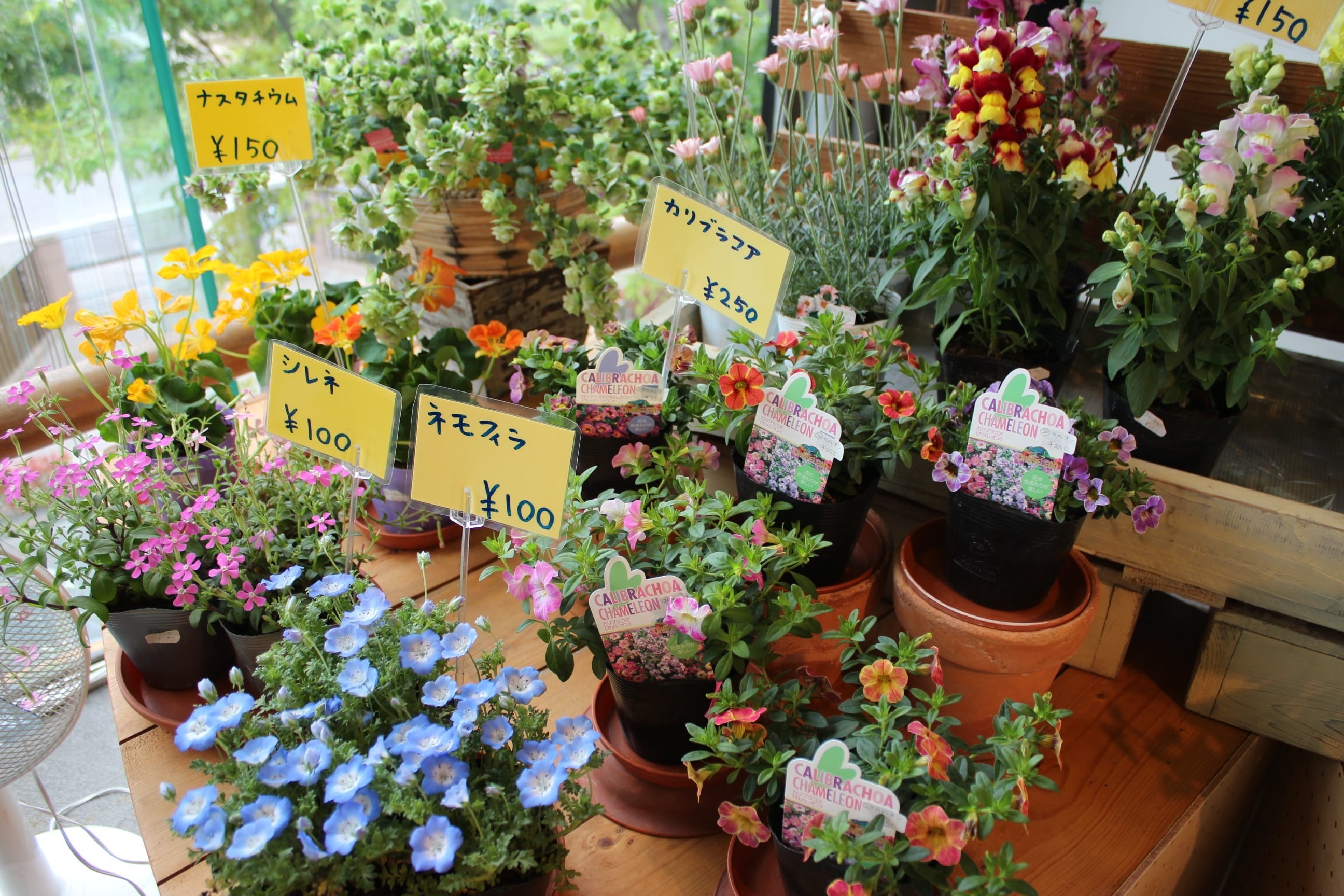 展示販売コーナー