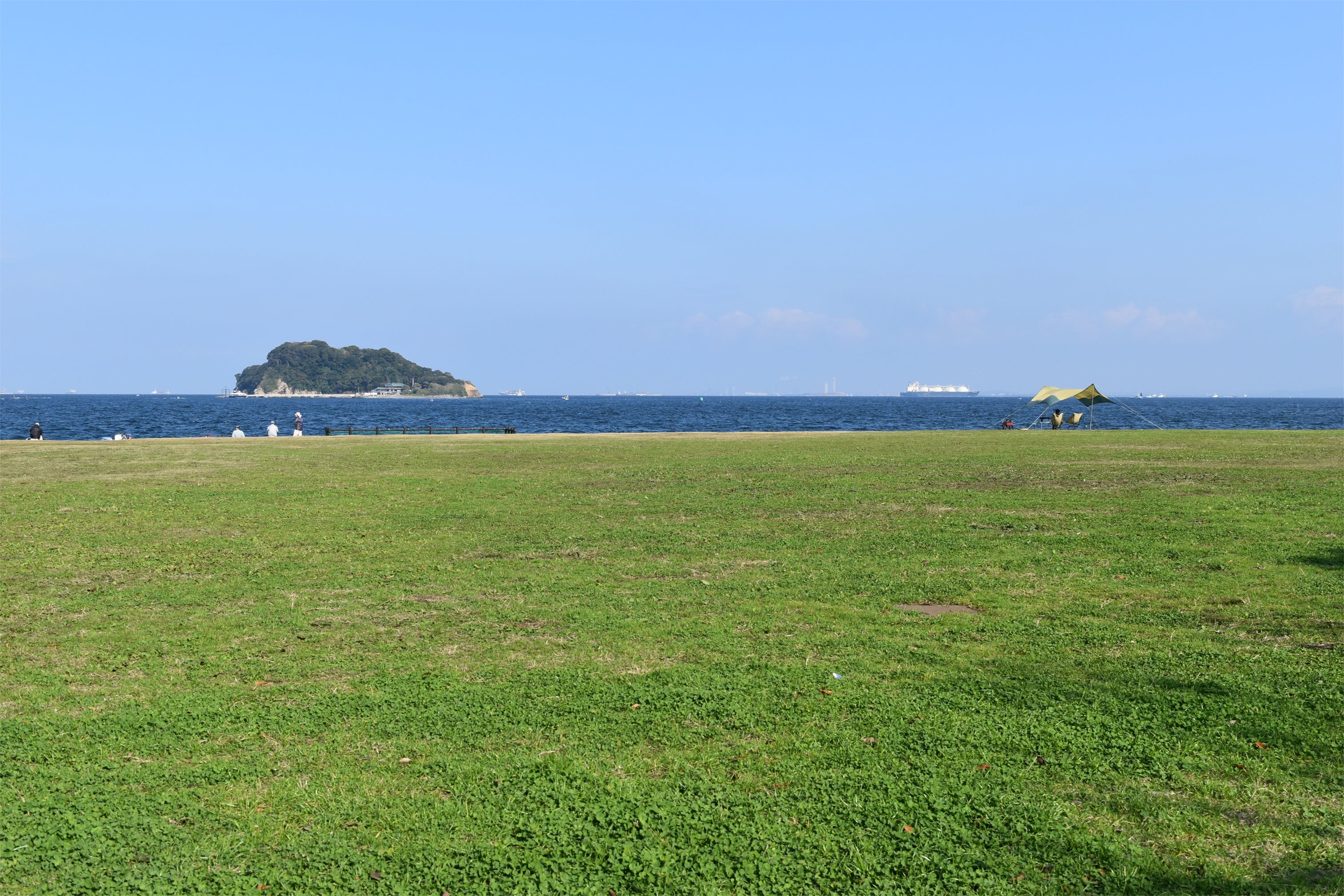 入園無料 約160種類1 700株の 春バラ と横須賀港の景観 春のローズフェスタ 5月21日 土 22日 日 開催 横須賀市ヴェルニー公園 西武造園株式会社のプレスリリース