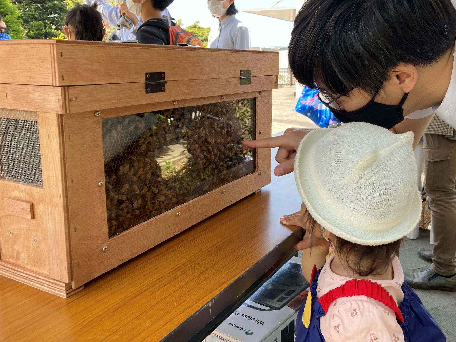 みつばちの巣箱観察（2022年4月9日横浜市アメリカ山公園）