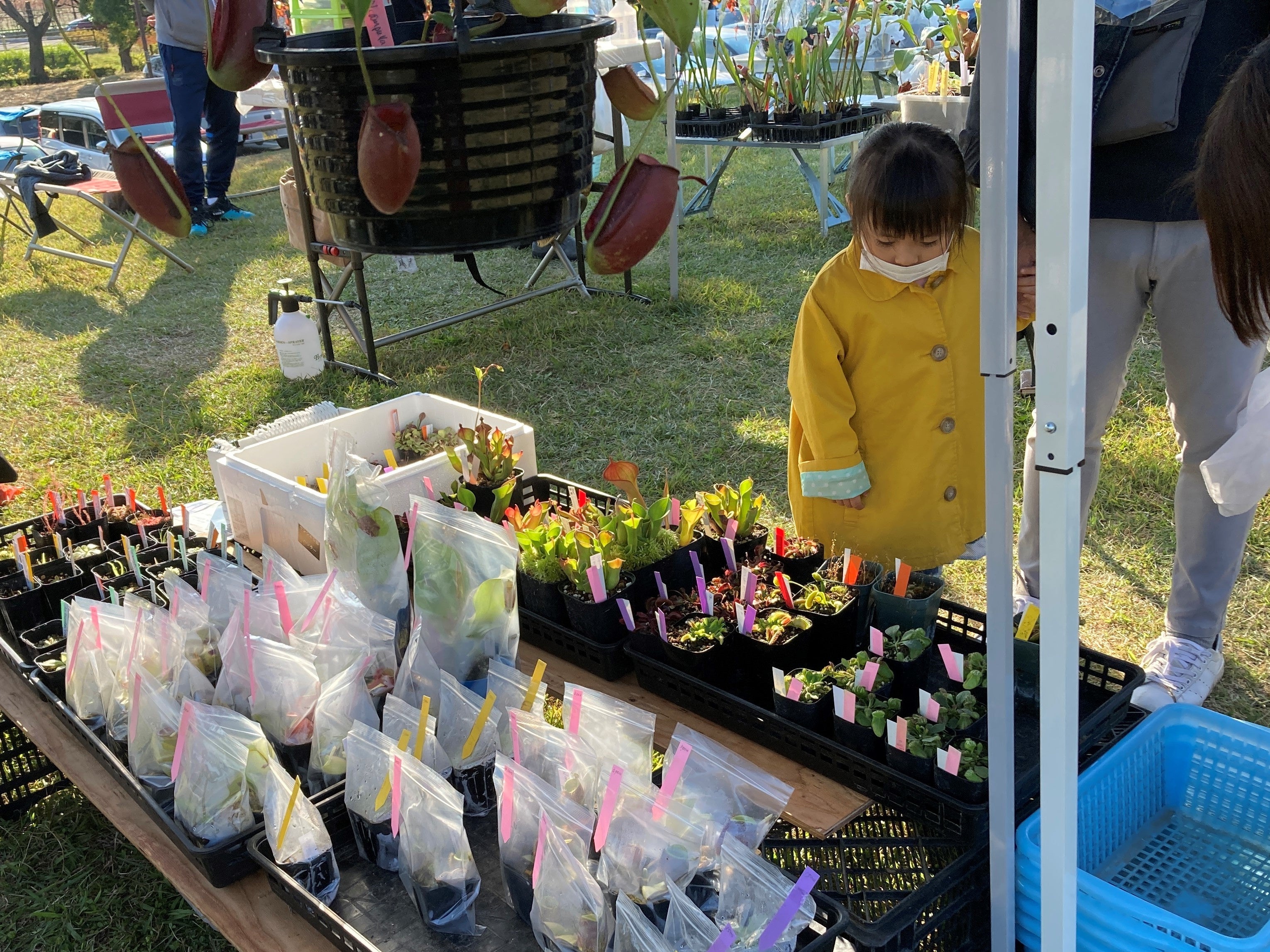 「ゆにーくしょくぶつ販売会」2021年初開催の様子