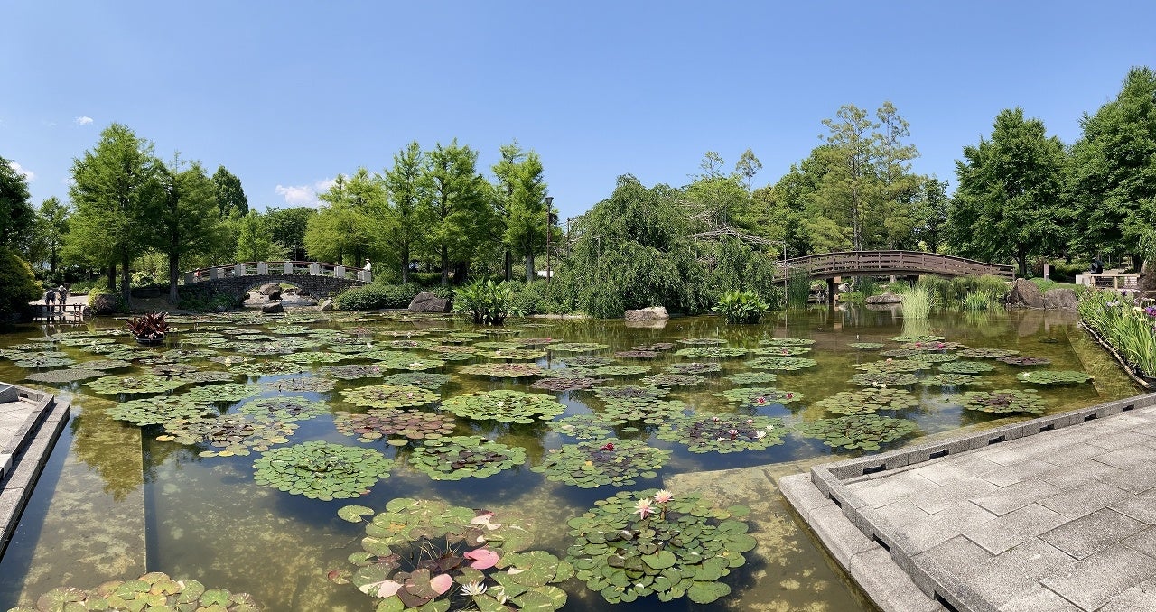 「花影の池」右に太鼓橋、左にめがね橋が架かる