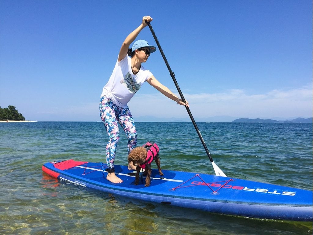 ワンコインSUP体験