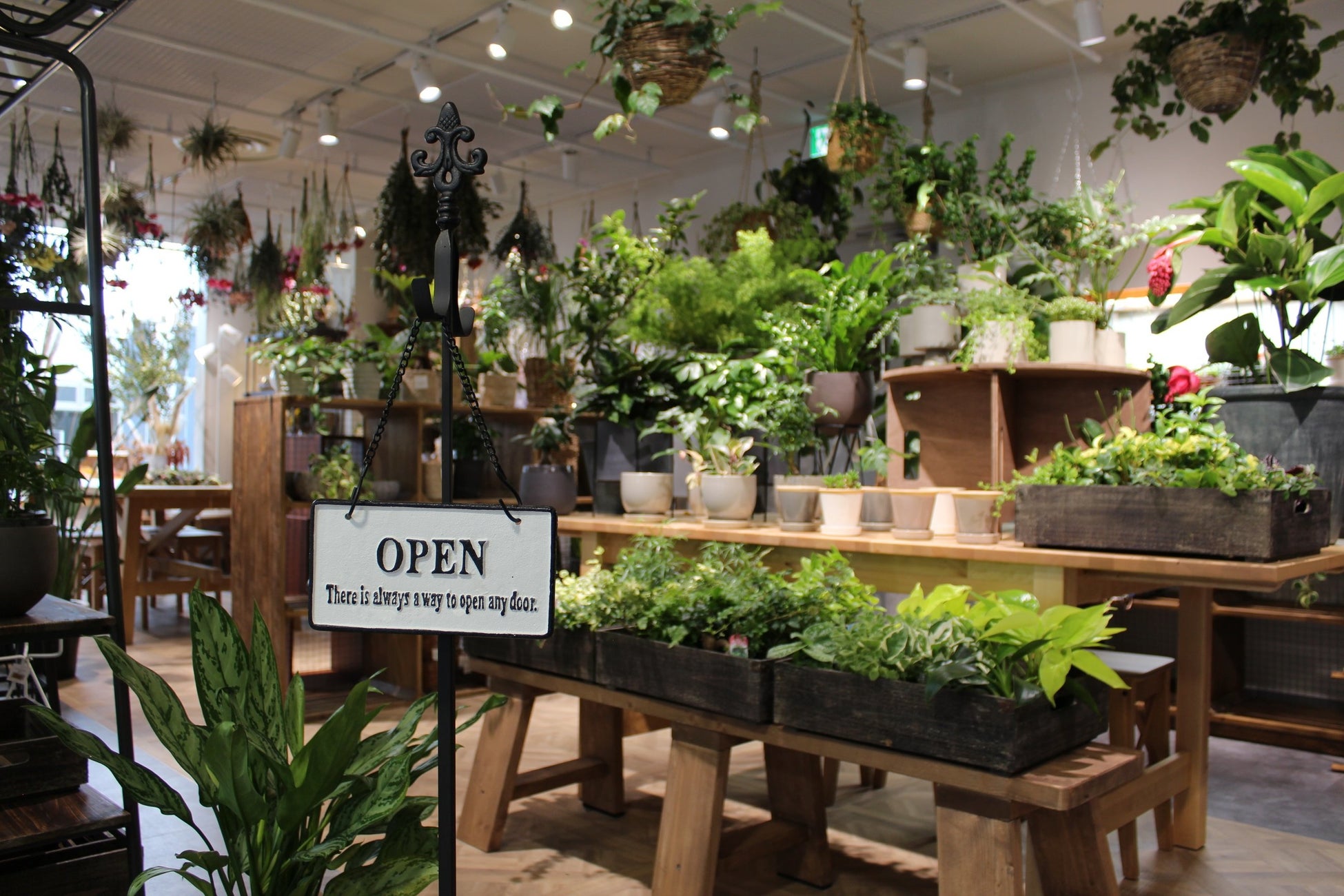 新所沢駅すぐ フラワーショップ Hale Hana Plants ハレハナプランツプラス 2周年フェア開催 西武造園株式会社のプレスリリース 新所沢駅すぐ フラワーショップ Hale Hana Plants ハレハナプランツプラス 2周年フェア開催 西武造園株式会社のプレスリリース