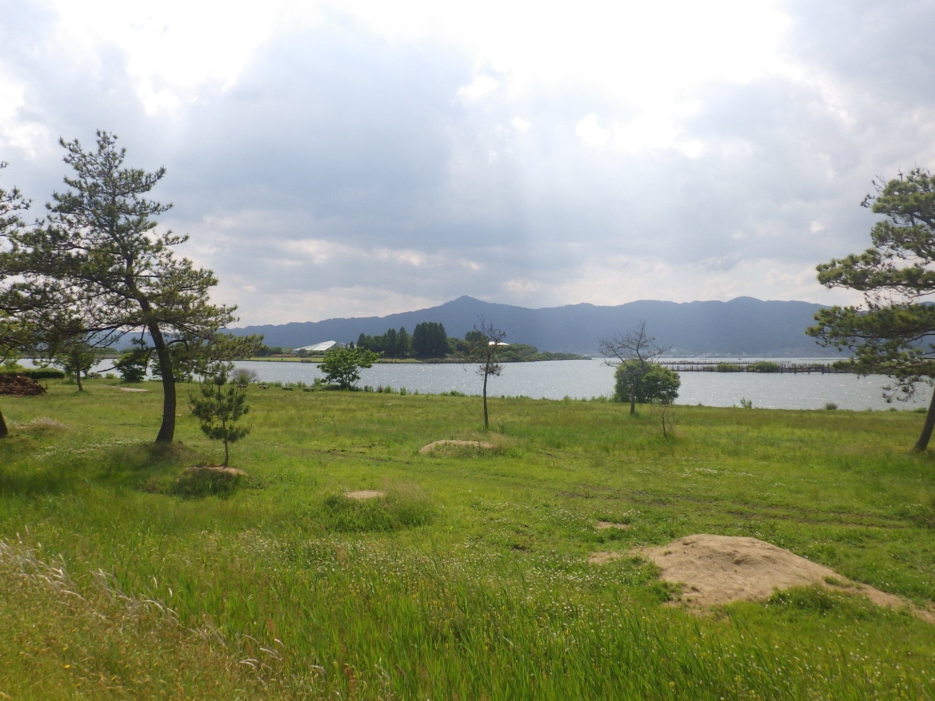 滋賀県営都市公園湖岸緑地　赤野井-1