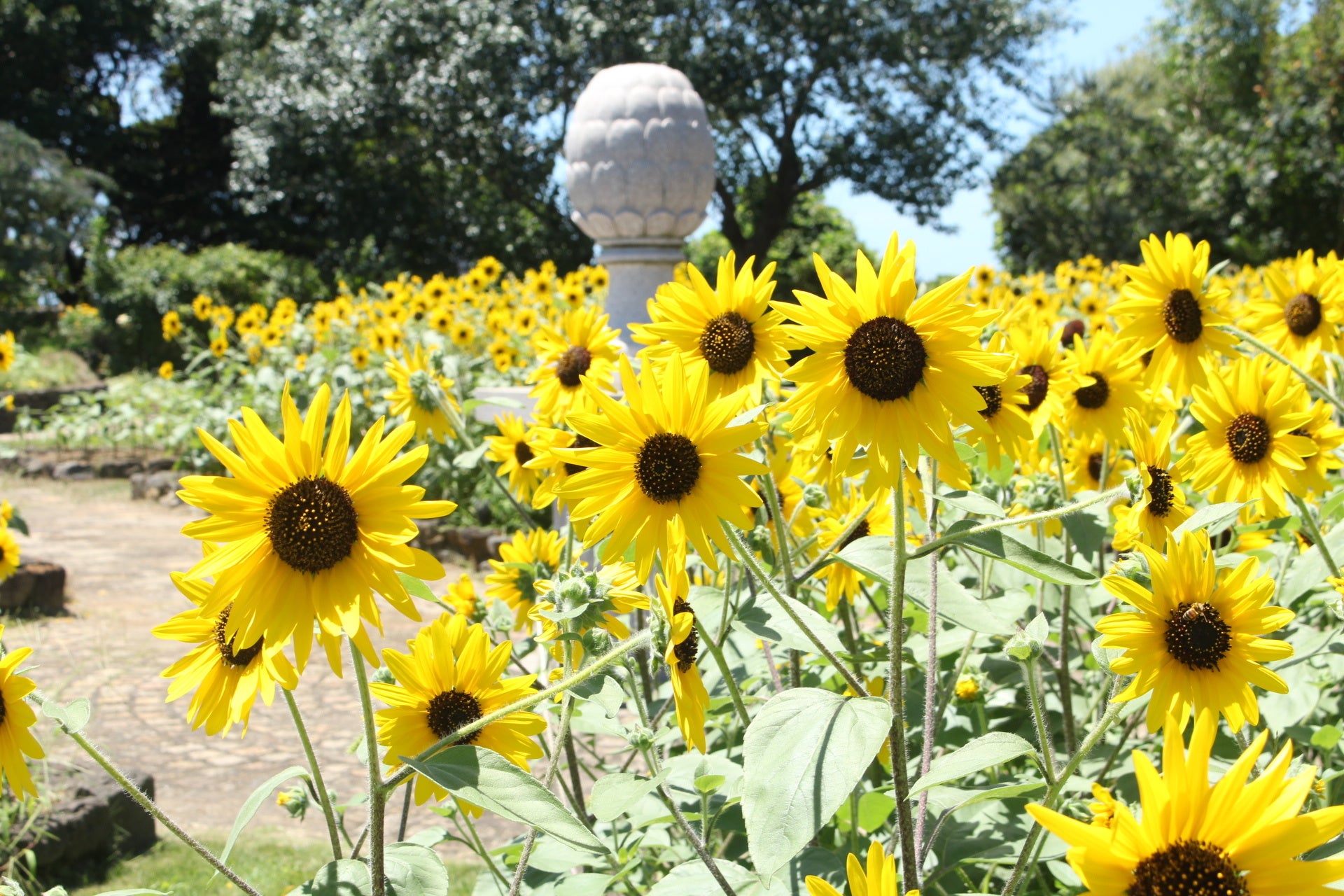 絵画を展示する南仏プロヴァンス風庭園「ソレイユガーデン」