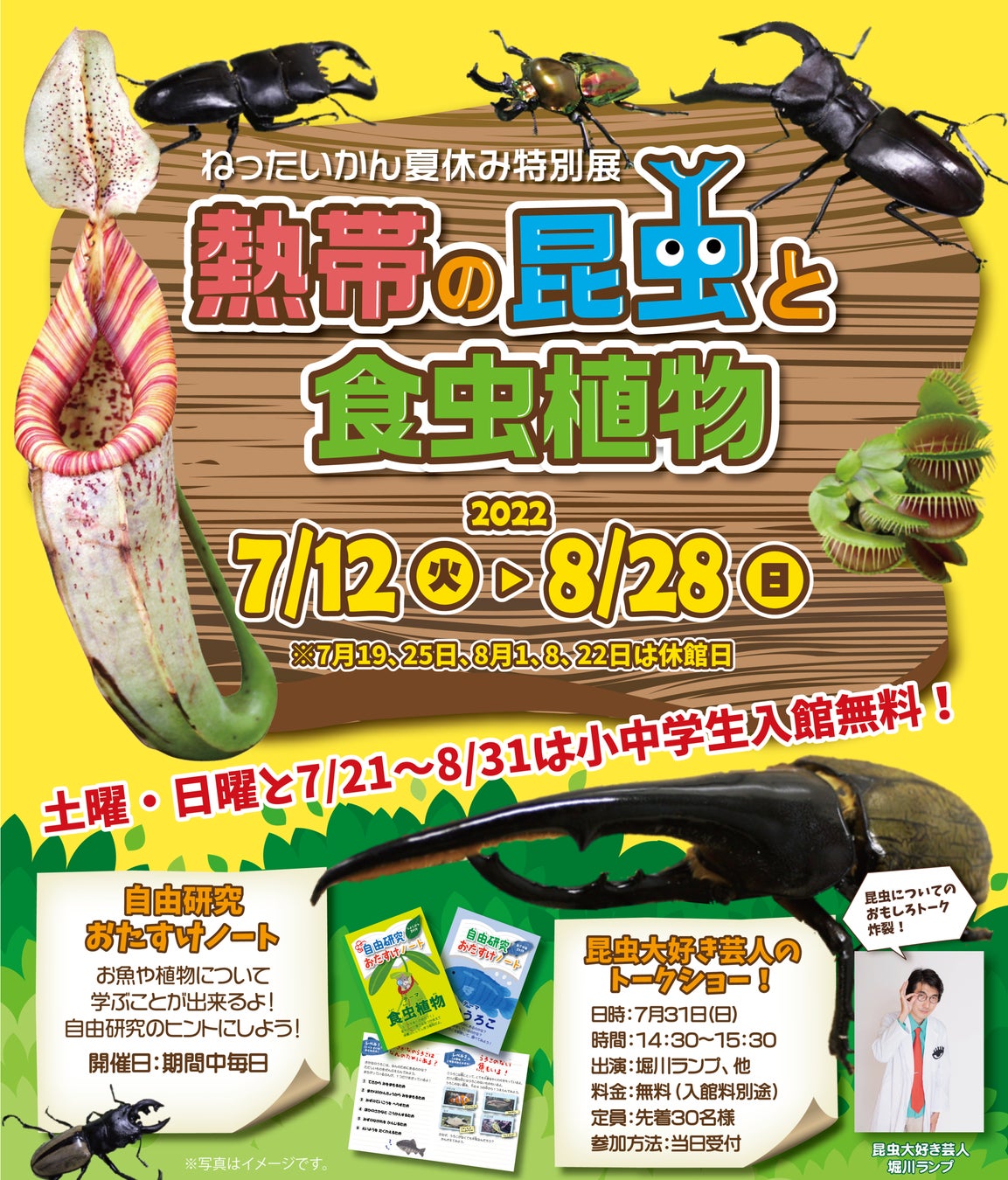 夏休み小 中学生無料 自由研究にもおすすめ人気企画 熱帯の昆虫と食虫植物 22年7月12日 火 8月28日 日 開催 板橋区立熱帯環境植物 館 西武造園株式会社のプレスリリース 夏休み小 中学生無料 自由研究にもおすすめ人気企画 熱帯の昆虫と食虫植物 22年7月12日 火 8月28日 日 開催 板橋区立熱帯環境植物 館 西武造園株式会社のプレスリリース