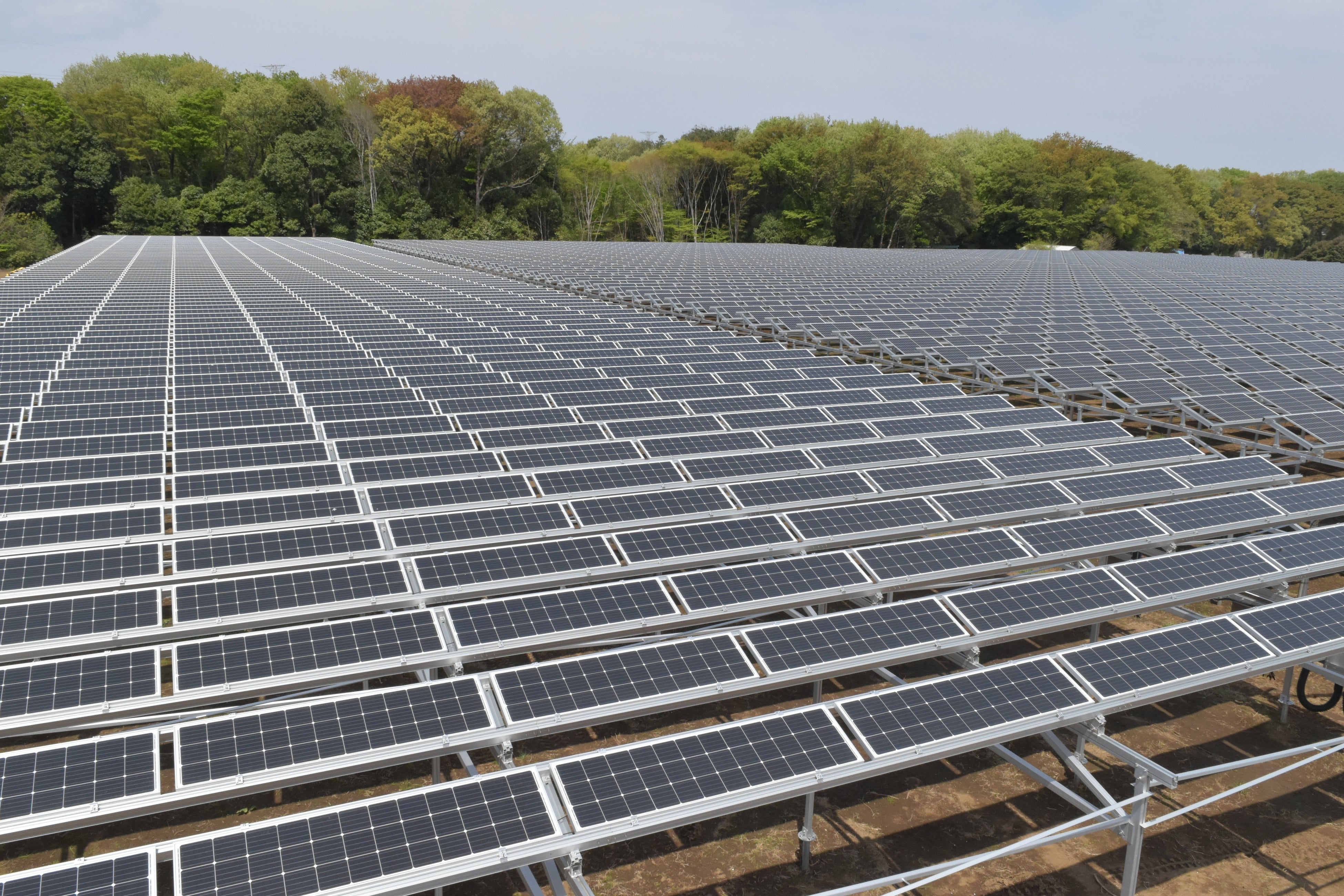 農業と太陽光発電を組み合わせた「ソーラーシェアリング」（所沢北岩岡太陽光発電所）