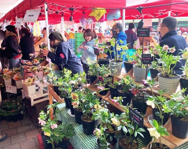 スタッフが直接販売（過去出店の様子）