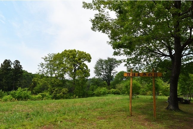 西武グループが管理する「飯能・西武の森」