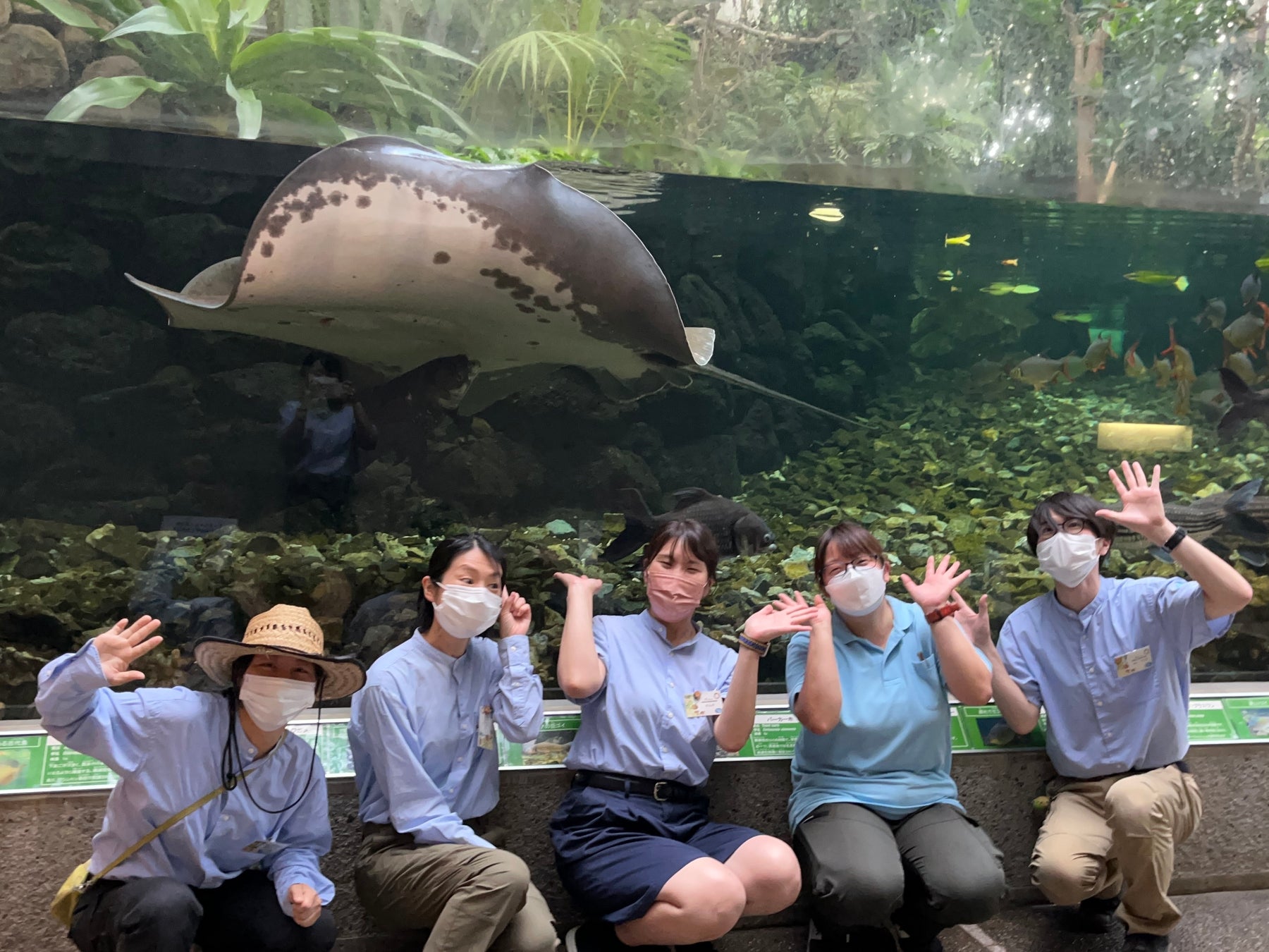 100人集まったら生産決定 板橋区立熱帯環境植物館が監修した 世界最大の淡水エイ ヒマンチュラ チャオプラヤのぬいぐるみブランケット 予約開始 西武造園株式会社のプレスリリース 100人集まったら生産決定 板橋区立熱帯環境植物館が監修した 世界最大の淡水エイ ヒマンチュラ チャオプラヤのぬいぐるみブランケット 予約開始 西武造園株式会社のプレスリリース