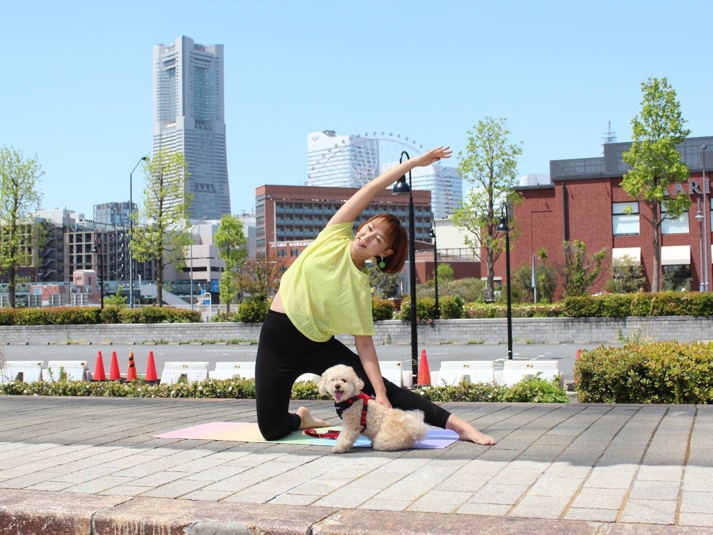ドッグヨガ体験会