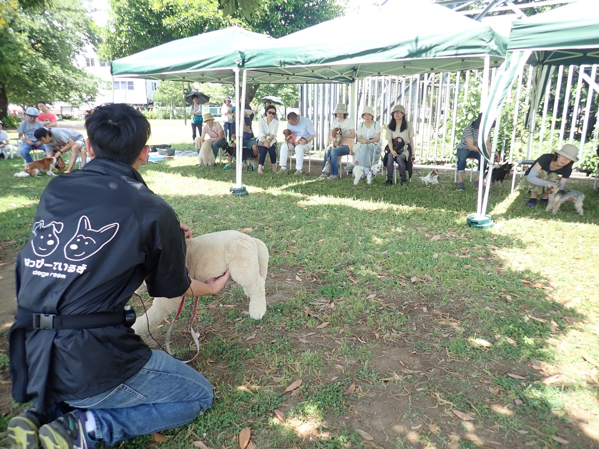 愛犬との暮らし方教室 