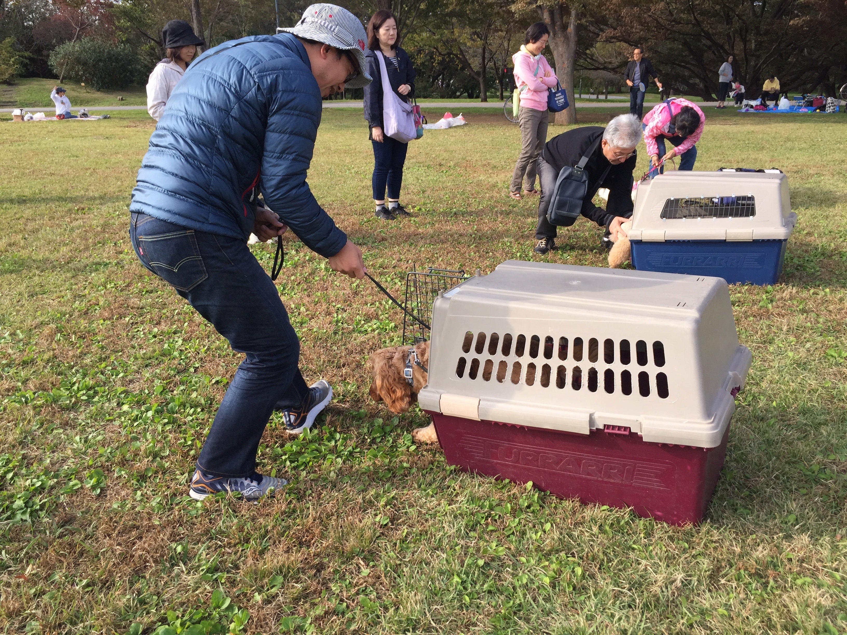 愛犬との暮らし方教室 
