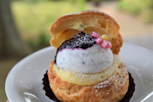 オリジナルスイーツ「柏ブルーベリーシュー」を期間限定販売 ※土日祝のみ