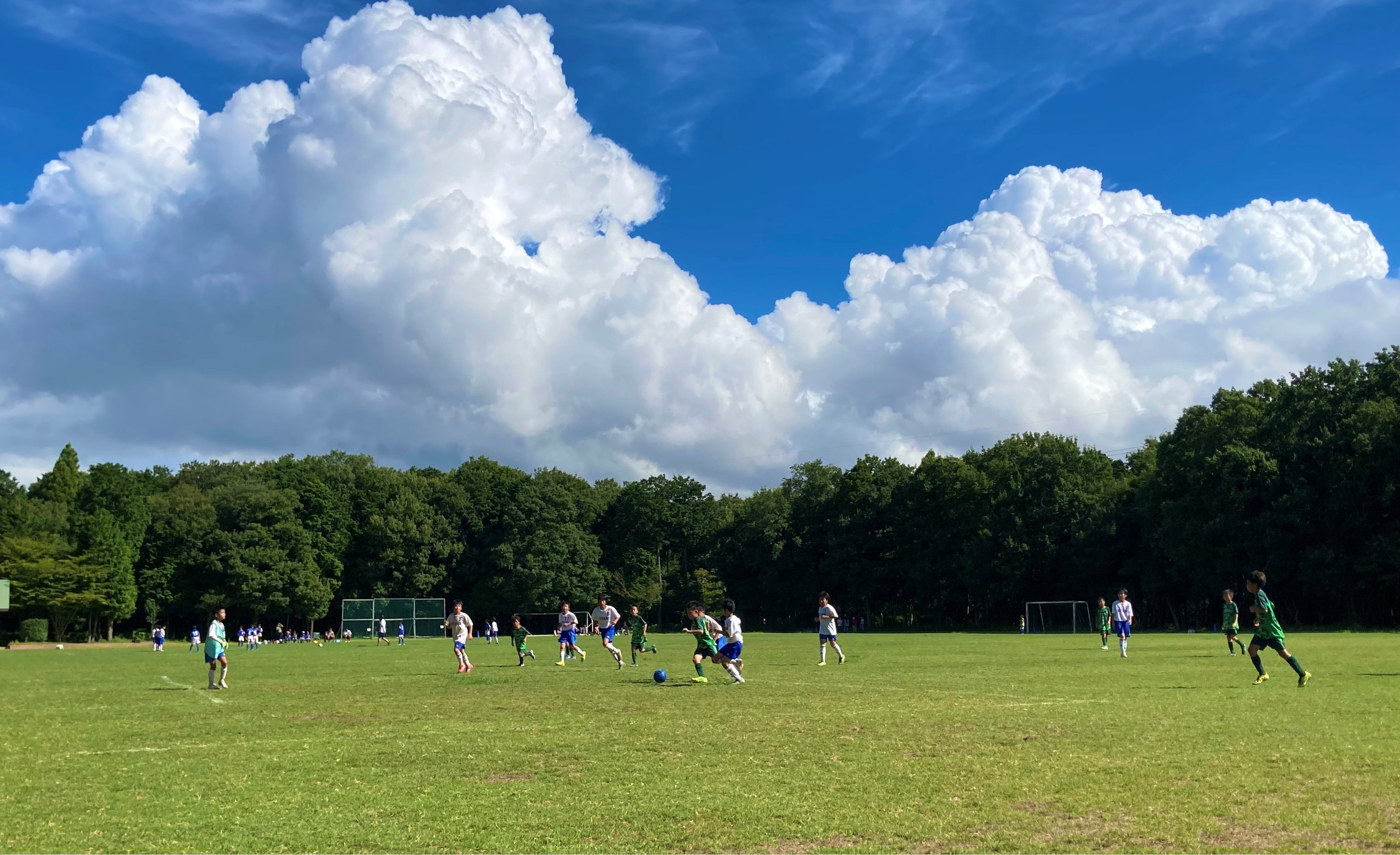 「狭山市立堀兼・上赤坂公園」天然芝の多目的グラウンド（サッカー場）
